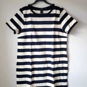 XL Jcrew white and Navy short sleeve dress